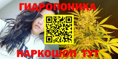 ECSTASY Коммунар