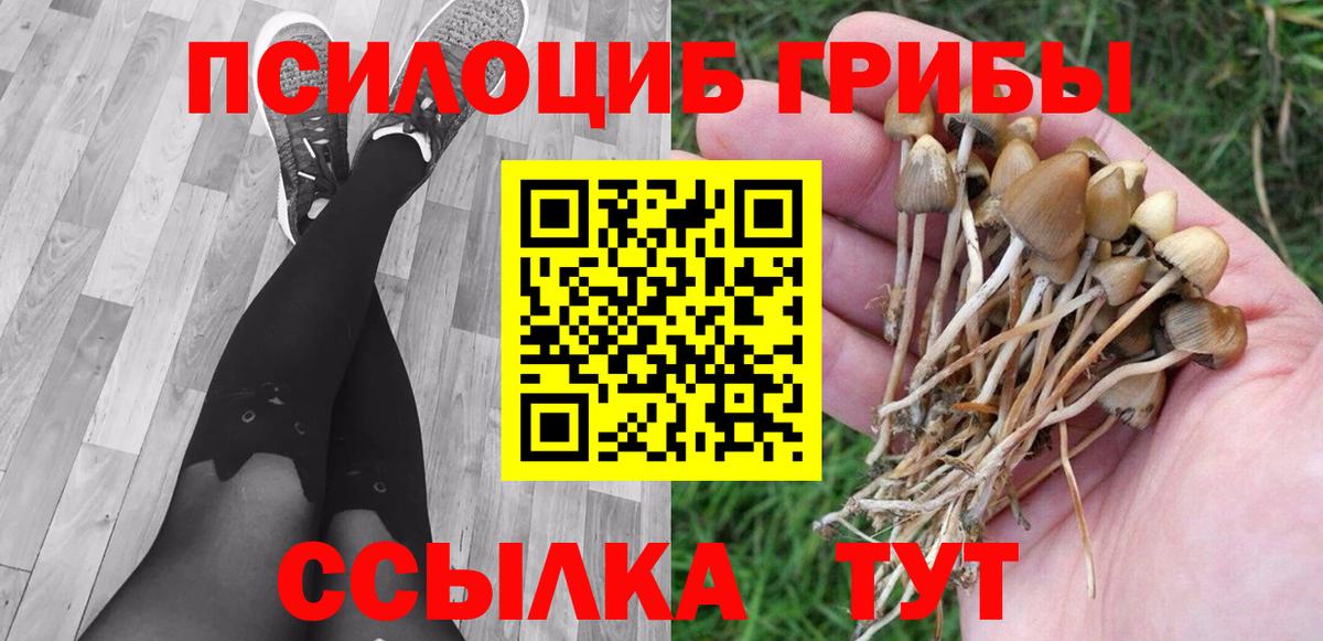 Когалым  Псилоцибиновые грибы GOLDEN TEACHER  Вход с VPN  Галлюциногенные грибы ЛСД 